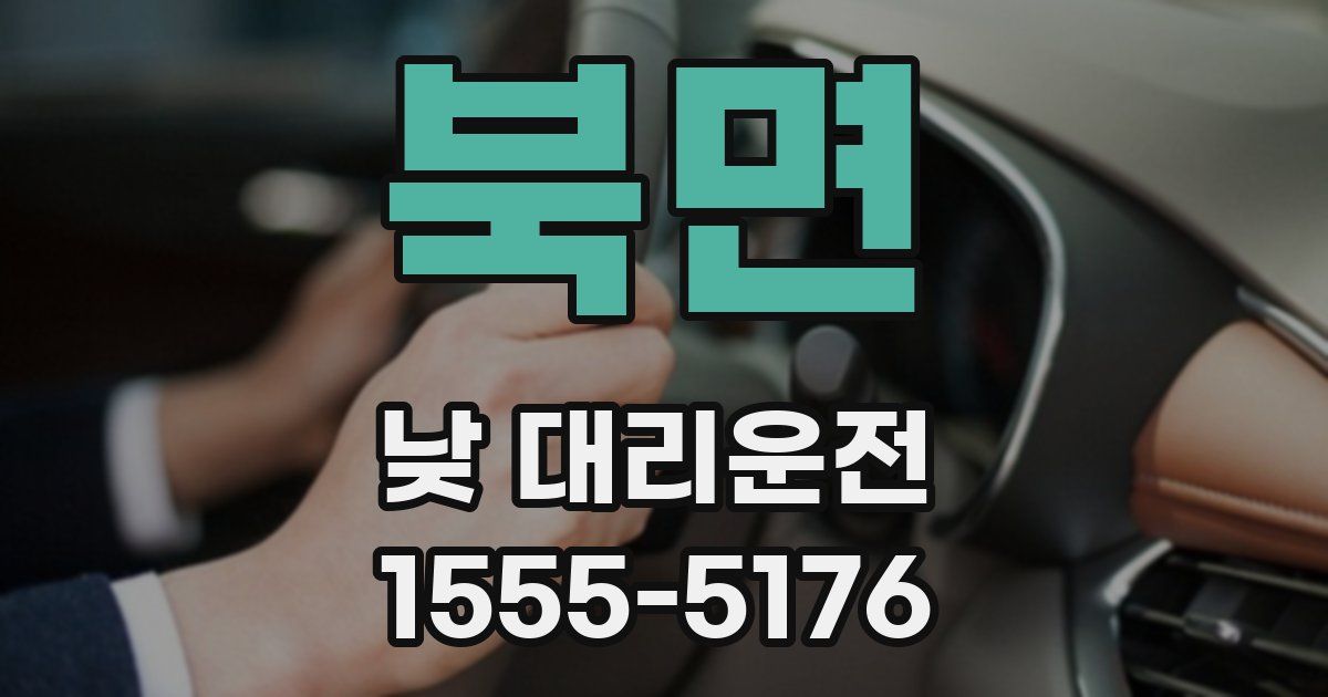 북면 낮 대리운전