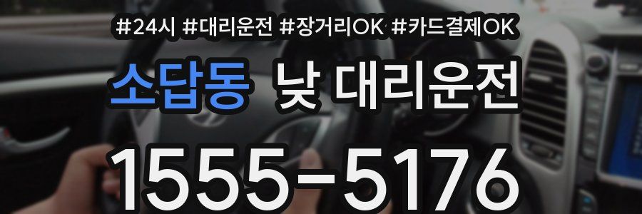 소답동 낮 대리운전