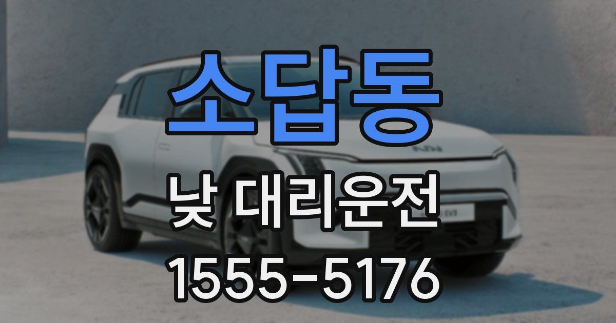 소답동 낮 대리운전