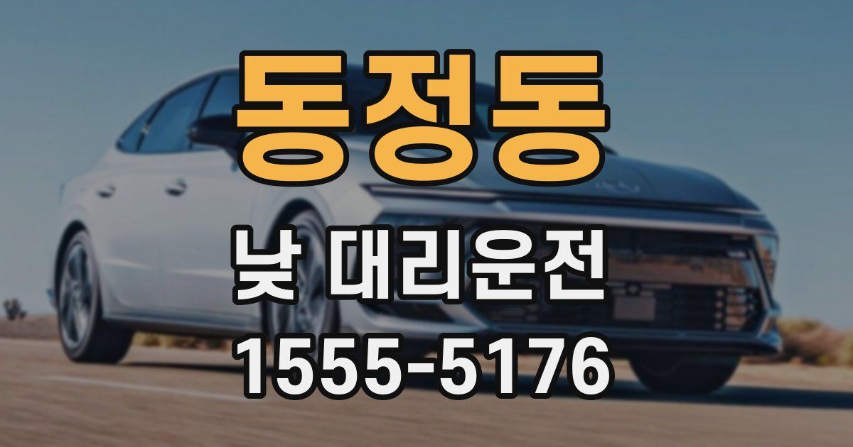 동정동 낮 대리운전