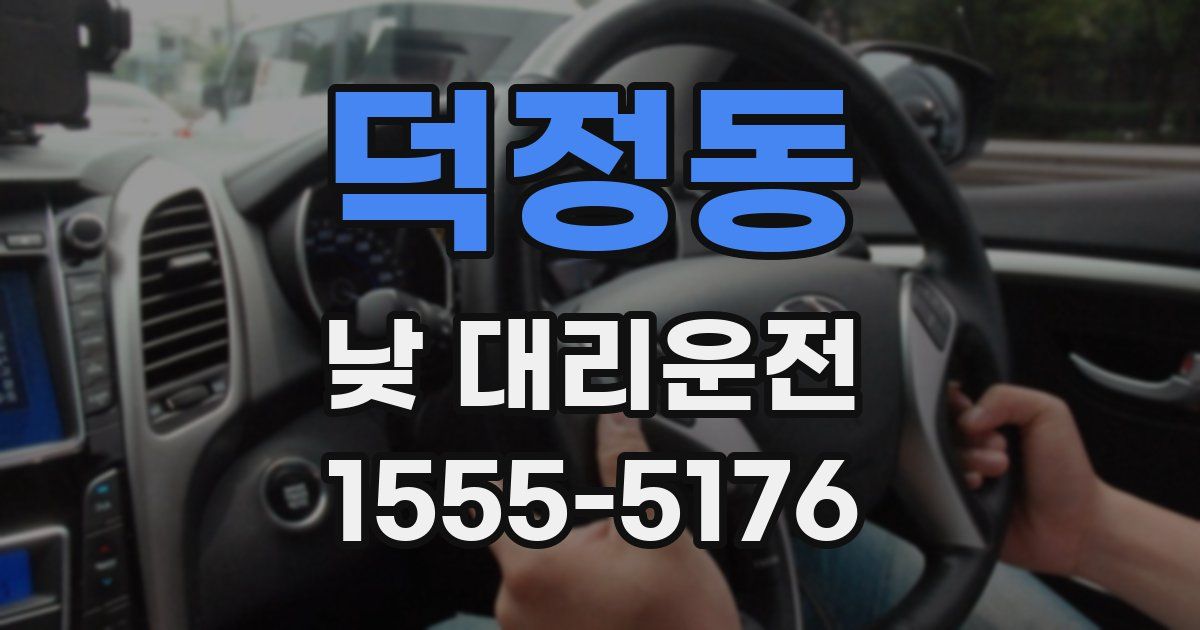 덕정동 낮 대리운전