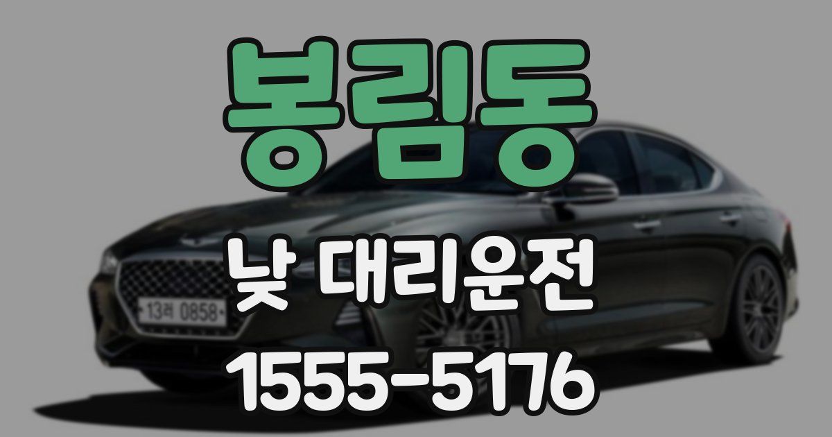 봉림동 낮 대리운전