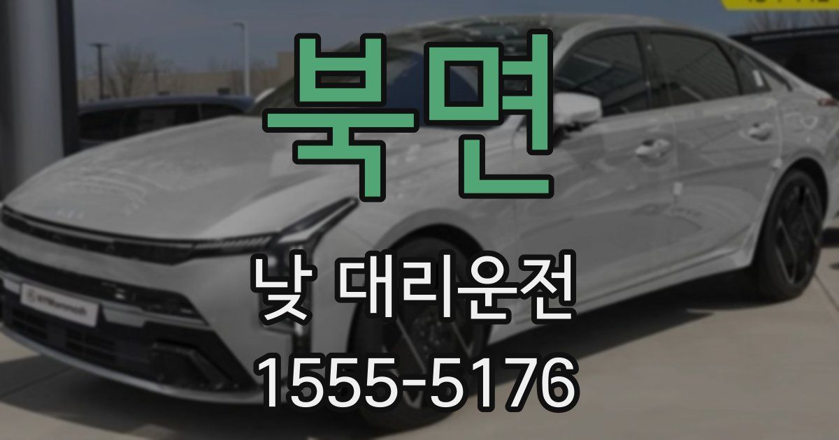 북면 낮 대리운전