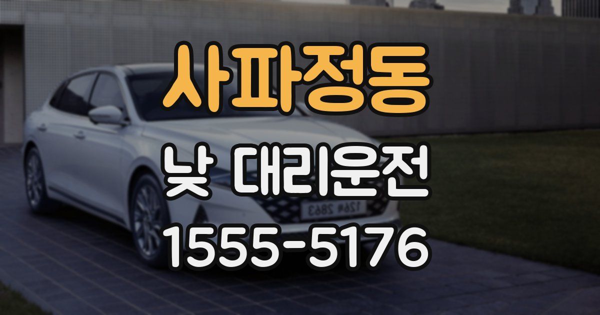 사파정동 낮 대리운전