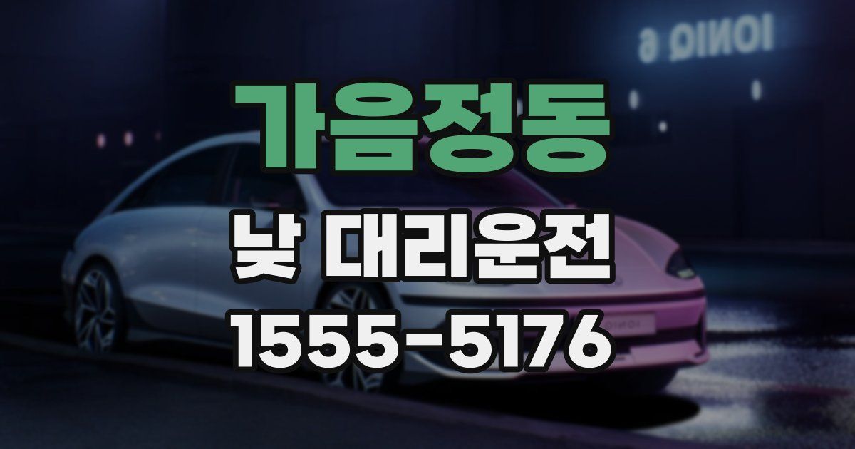 가음정동 낮 대리운전