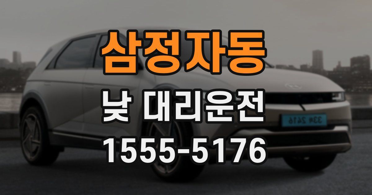 삼정자동 낮 대리운전
