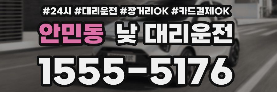 안민동 낮 대리운전