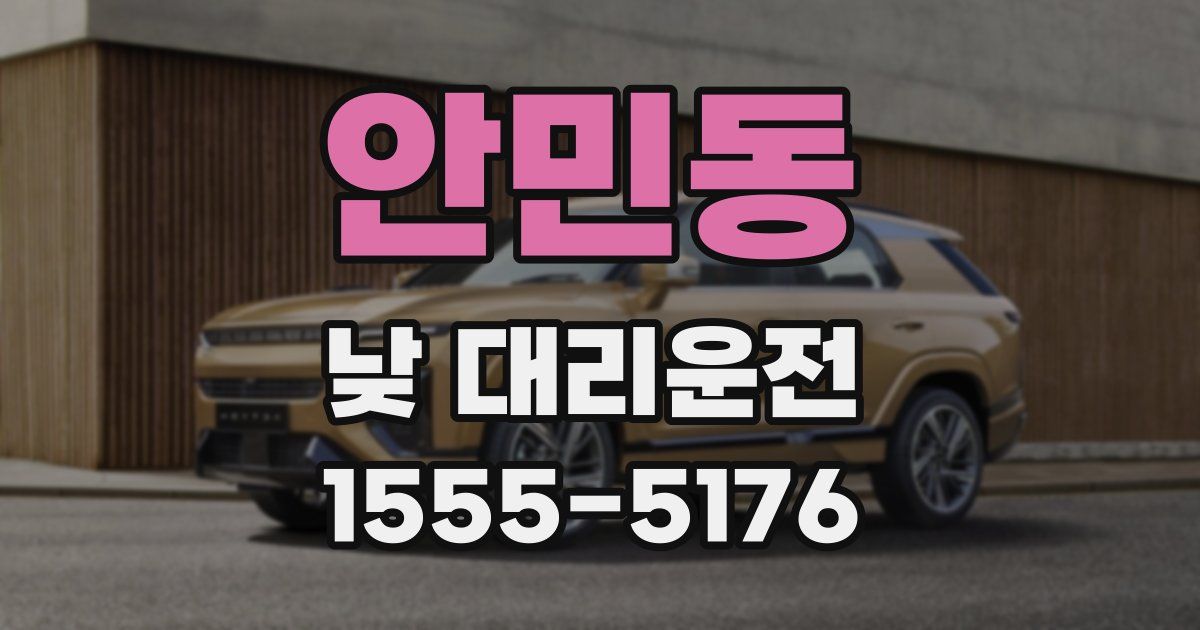 안민동 낮 대리운전