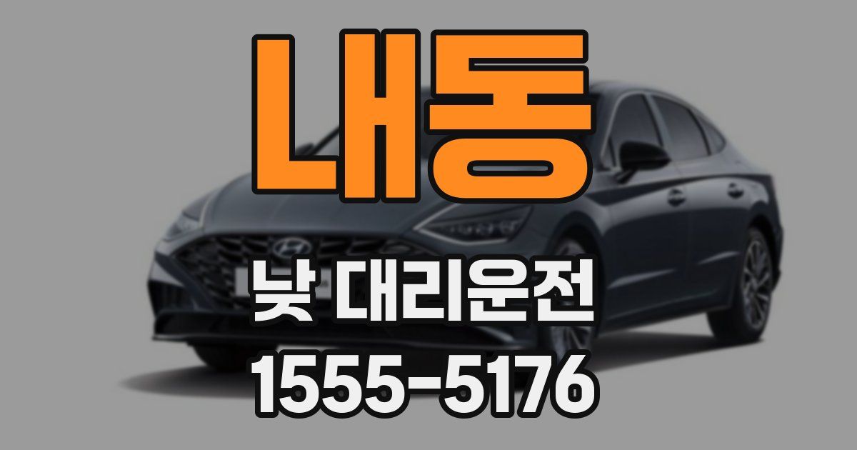 내동 낮 대리운전