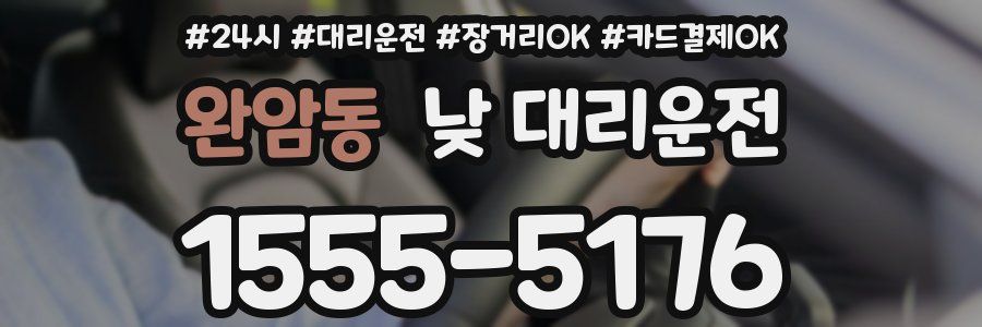 완암동 낮 대리운전