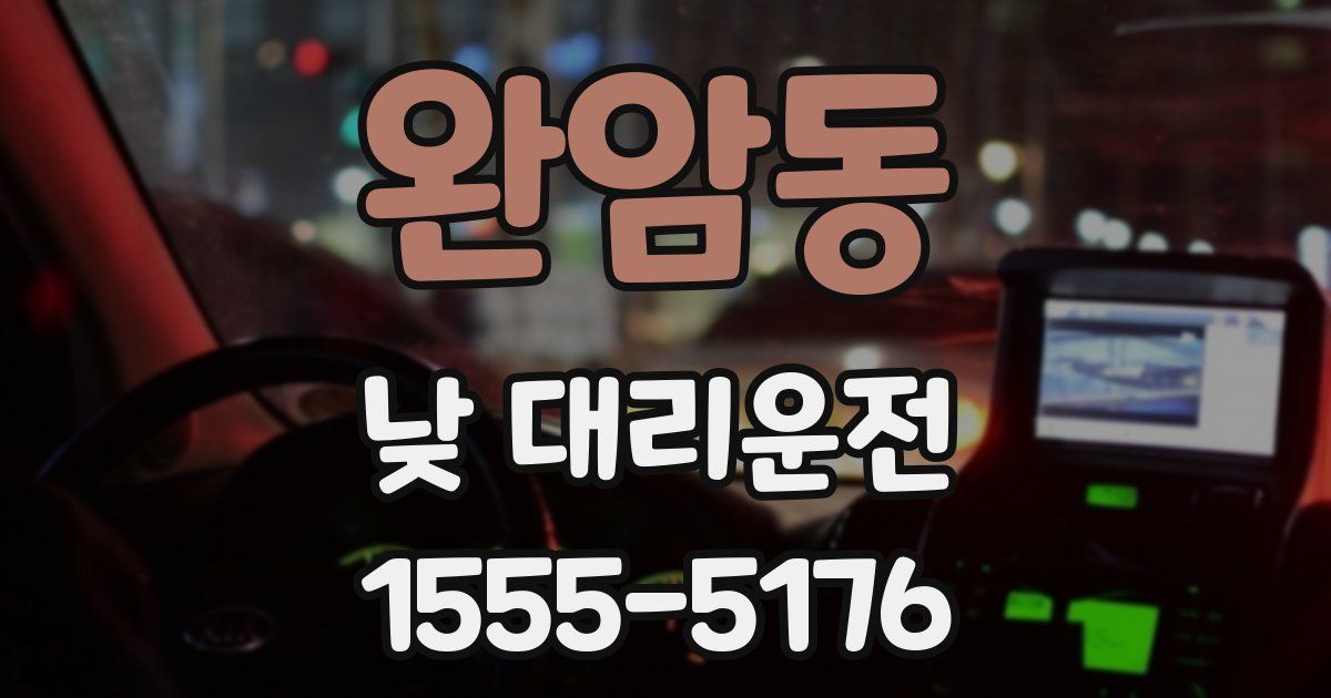 완암동 낮 대리운전