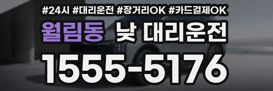 월림동 낮 대리운전