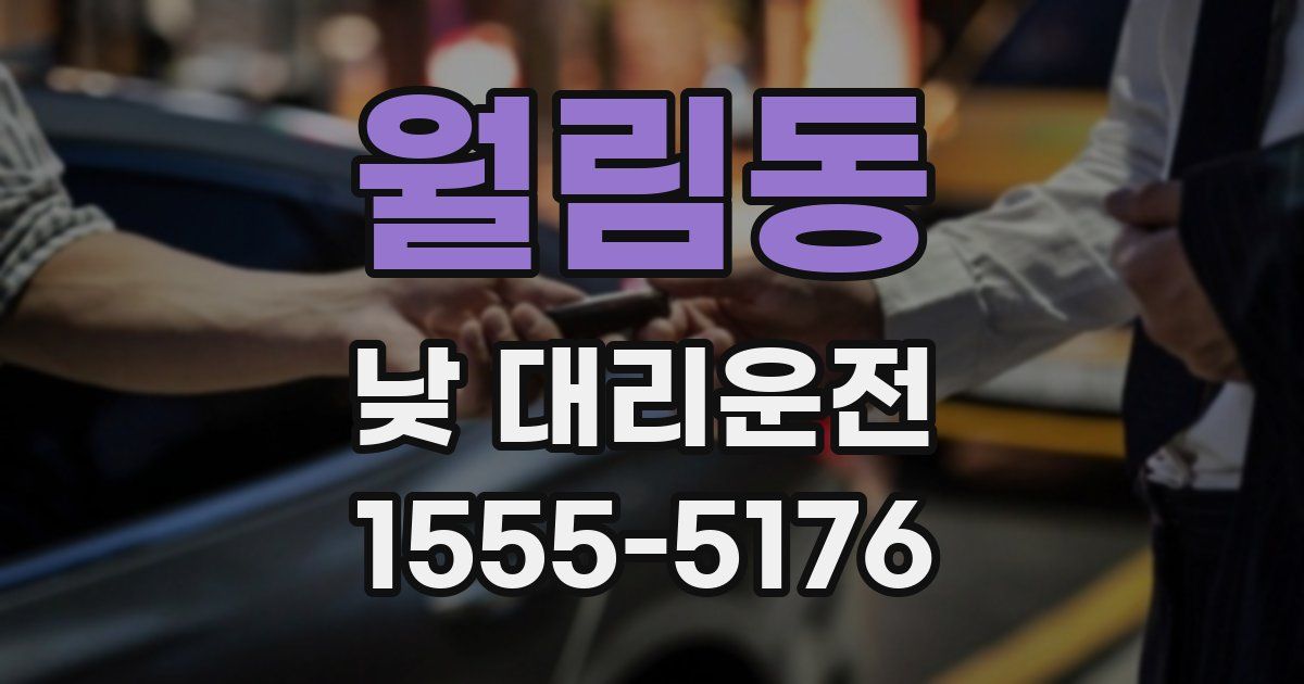 월림동 낮 대리운전