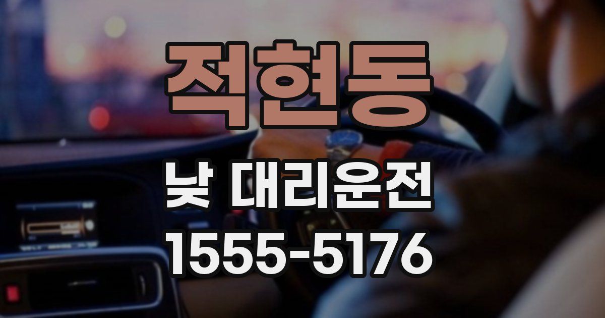 적현동 낮 대리운전