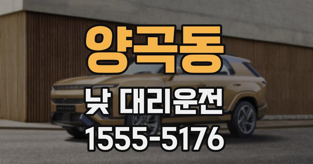 양곡동 낮 대리운전