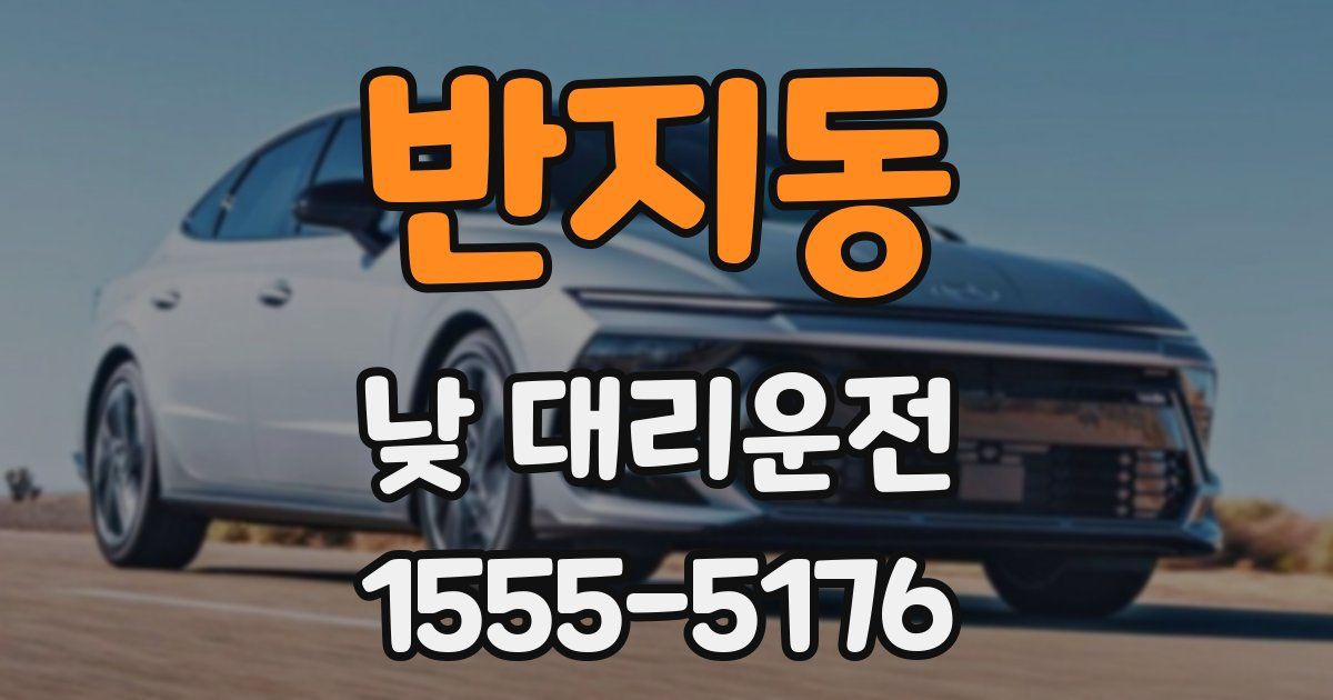 반지동 낮 대리운전