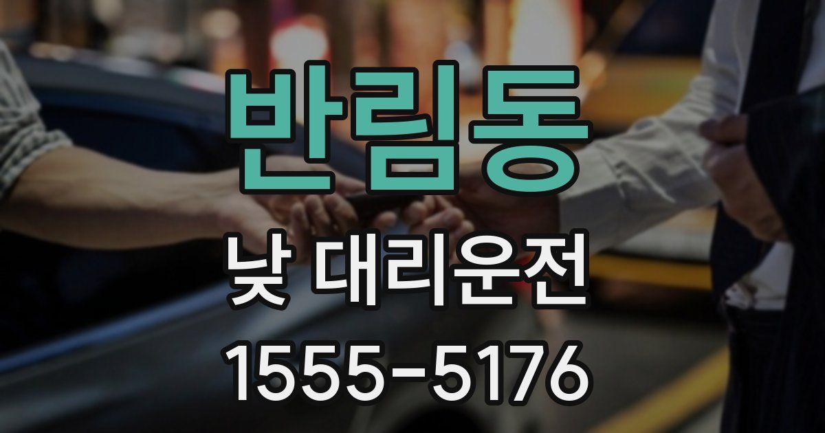반림동 낮 대리운전