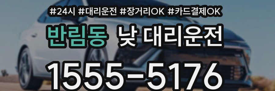 반림동 낮 대리운전