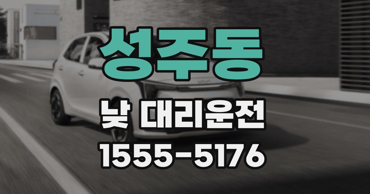 성주동 낮 대리운전