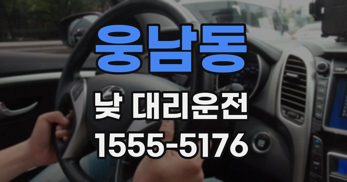 웅남동 낮 대리운전