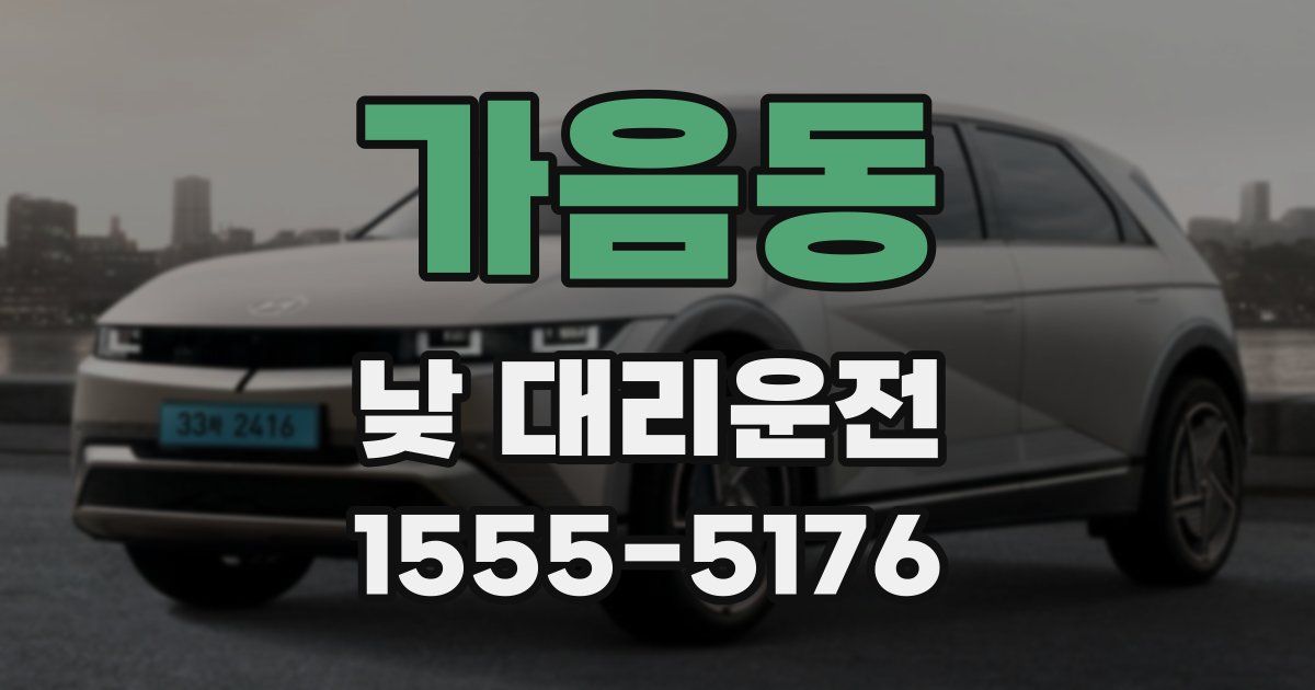 가음동 낮 대리운전
