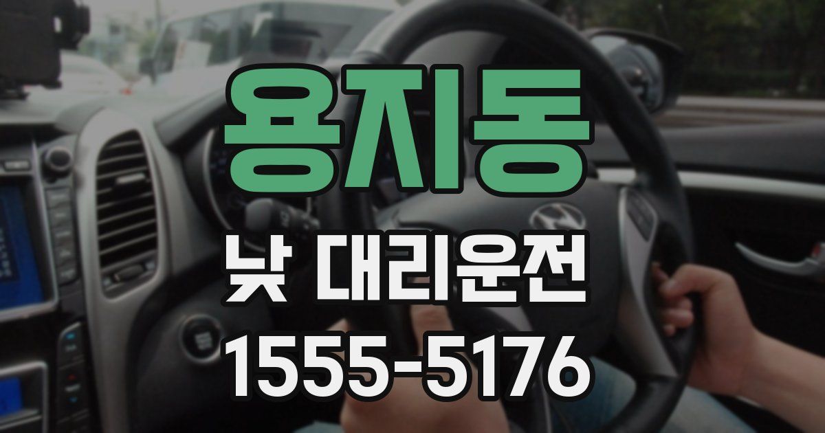 용지동 낮 대리운전