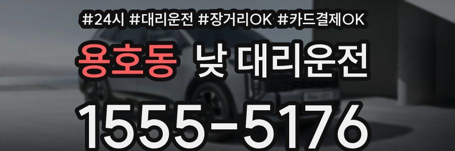 용호동 낮 대리운전