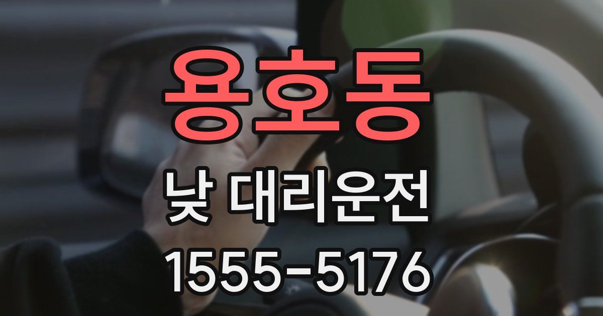 용호동 낮 대리운전