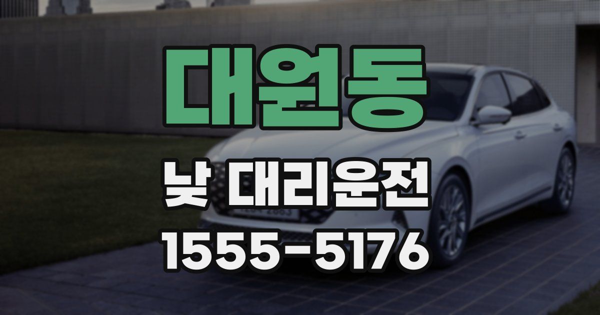 대원동 낮 대리운전
