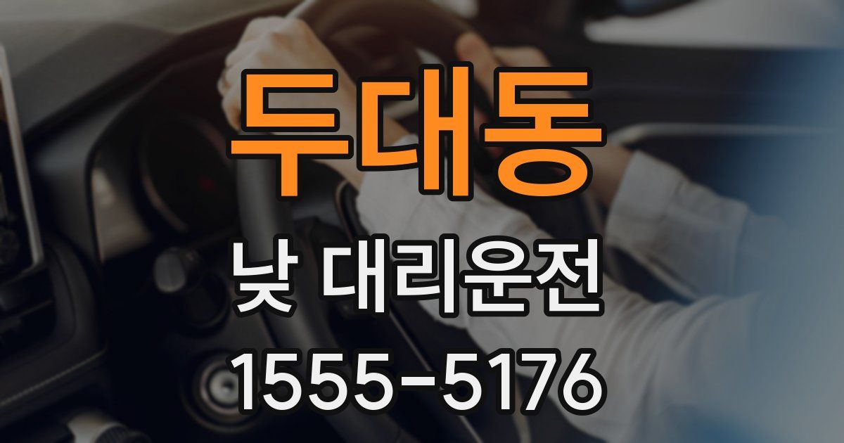 두대동 낮 대리운전