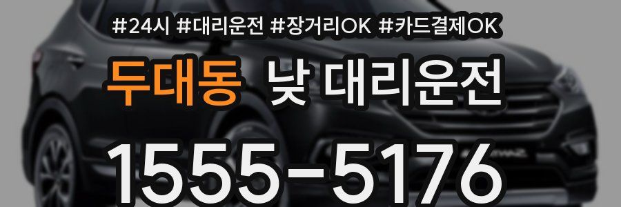 두대동 낮 대리운전