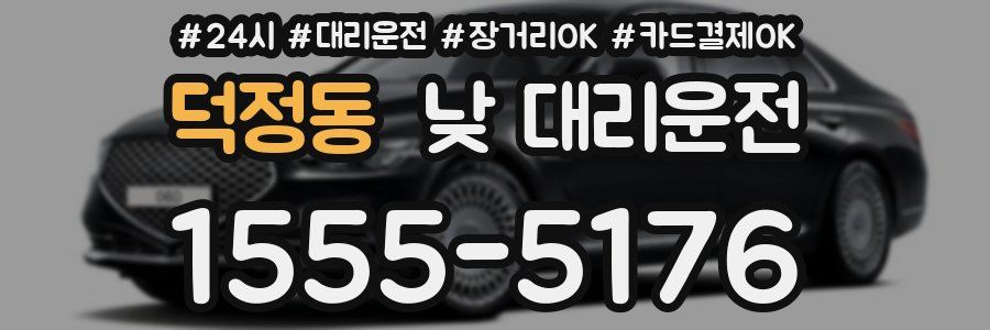 덕정동 낮 대리운전