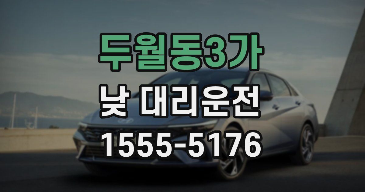 두월동3가 낮 대리운전