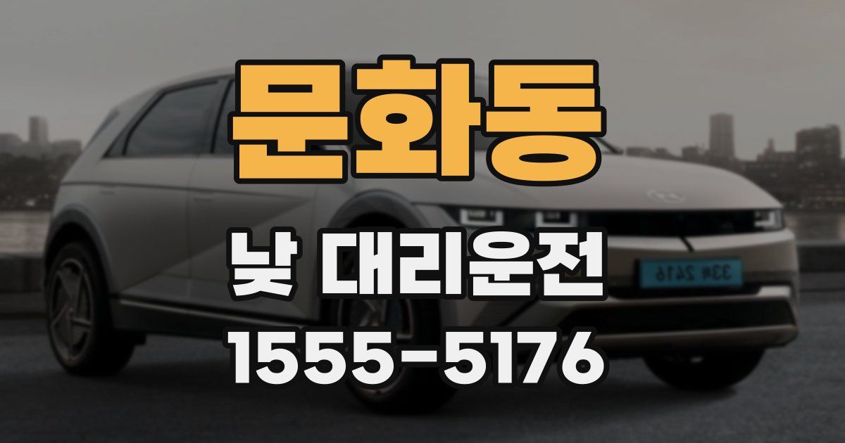 문화동 낮 대리운전