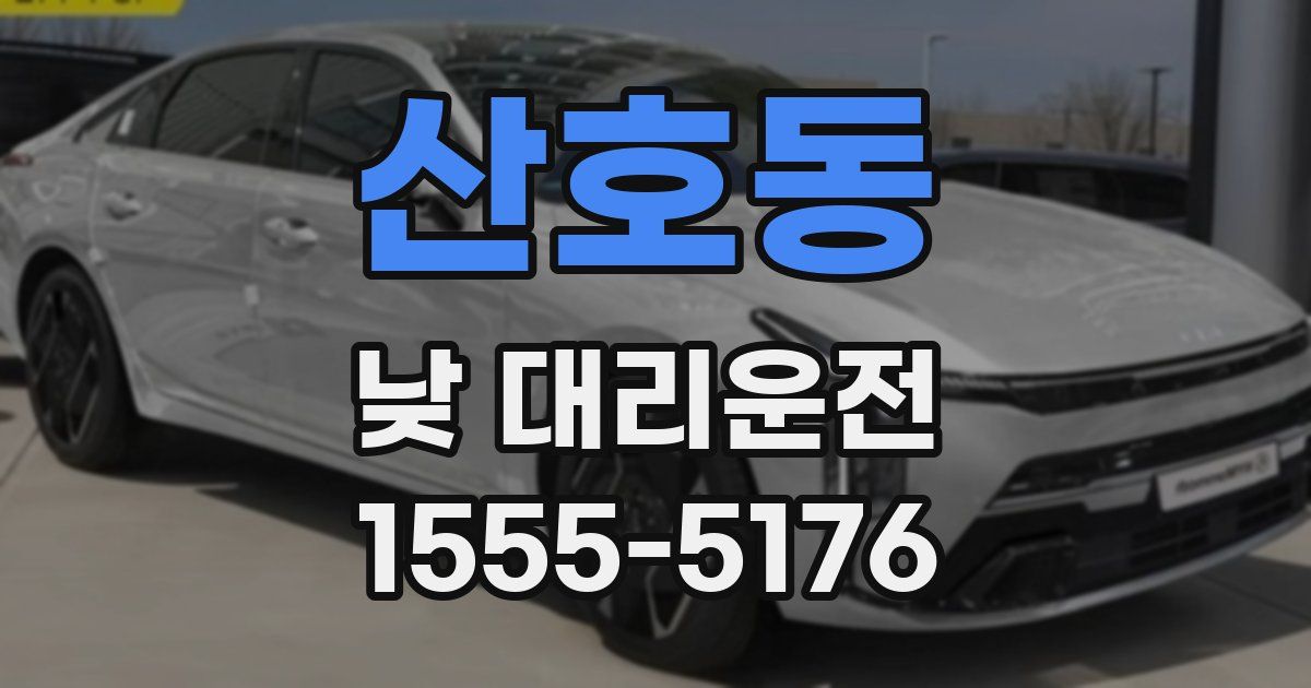 산호동 낮 대리운전