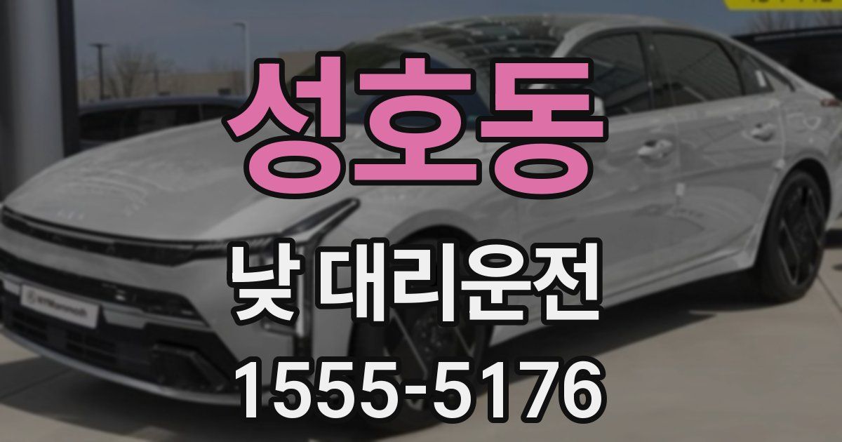 성호동 낮 대리운전