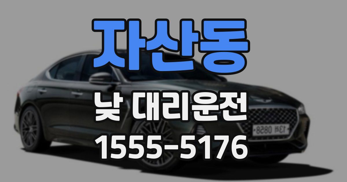 자산동 낮 대리운전