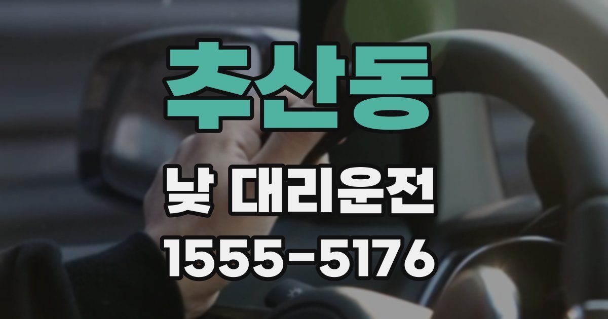 추산동 낮 대리운전