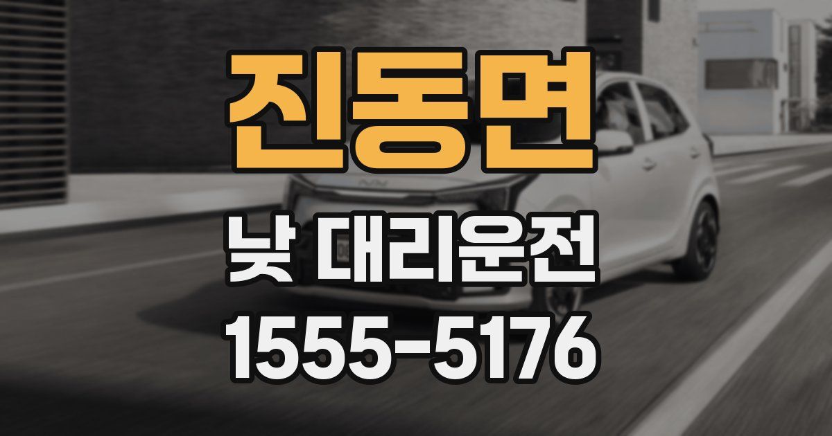 진동면 낮 대리운전