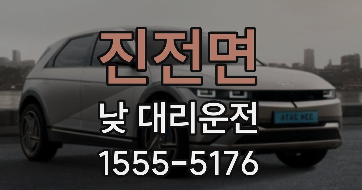 진전면 낮 대리운전