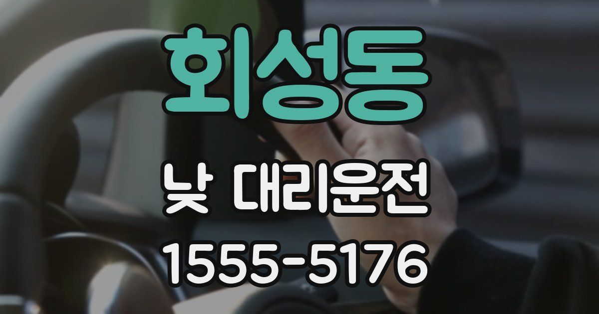 회성동 낮 대리운전
