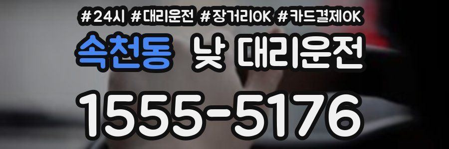속천동 낮 대리운전