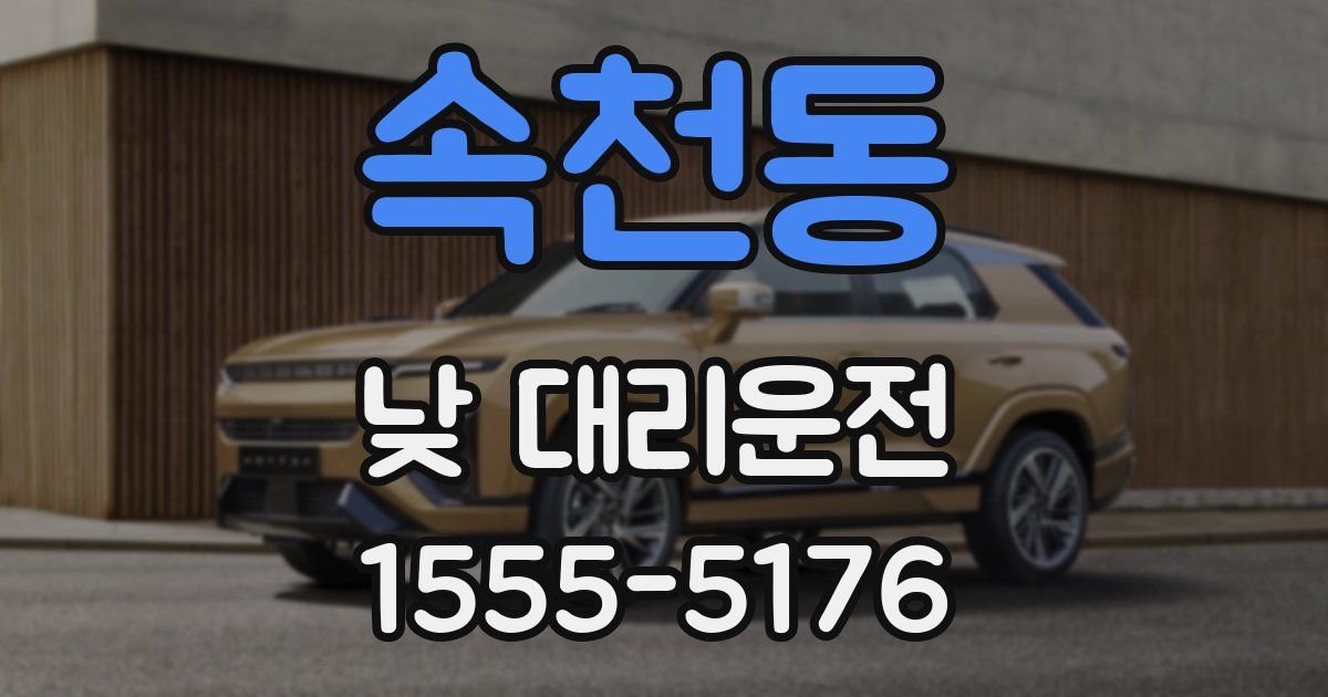 속천동 낮 대리운전