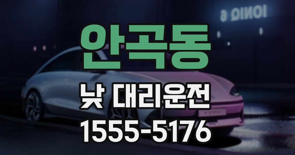 안곡동 낮 대리운전