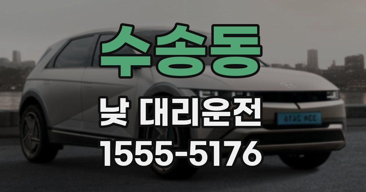 수송동 낮 대리운전