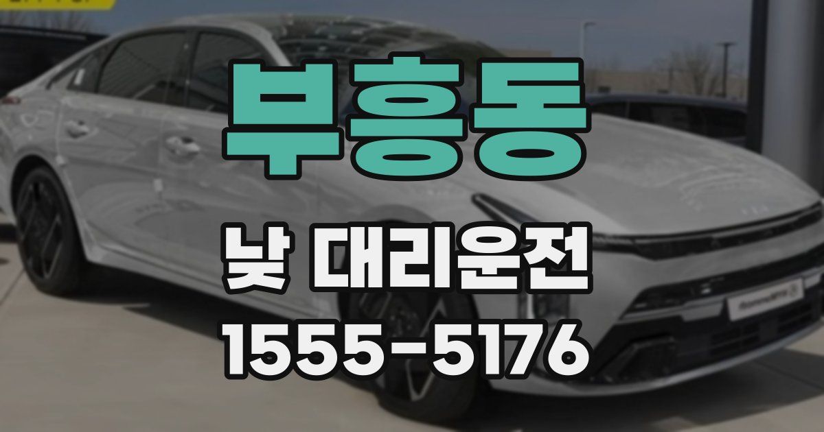 부흥동 낮 대리운전