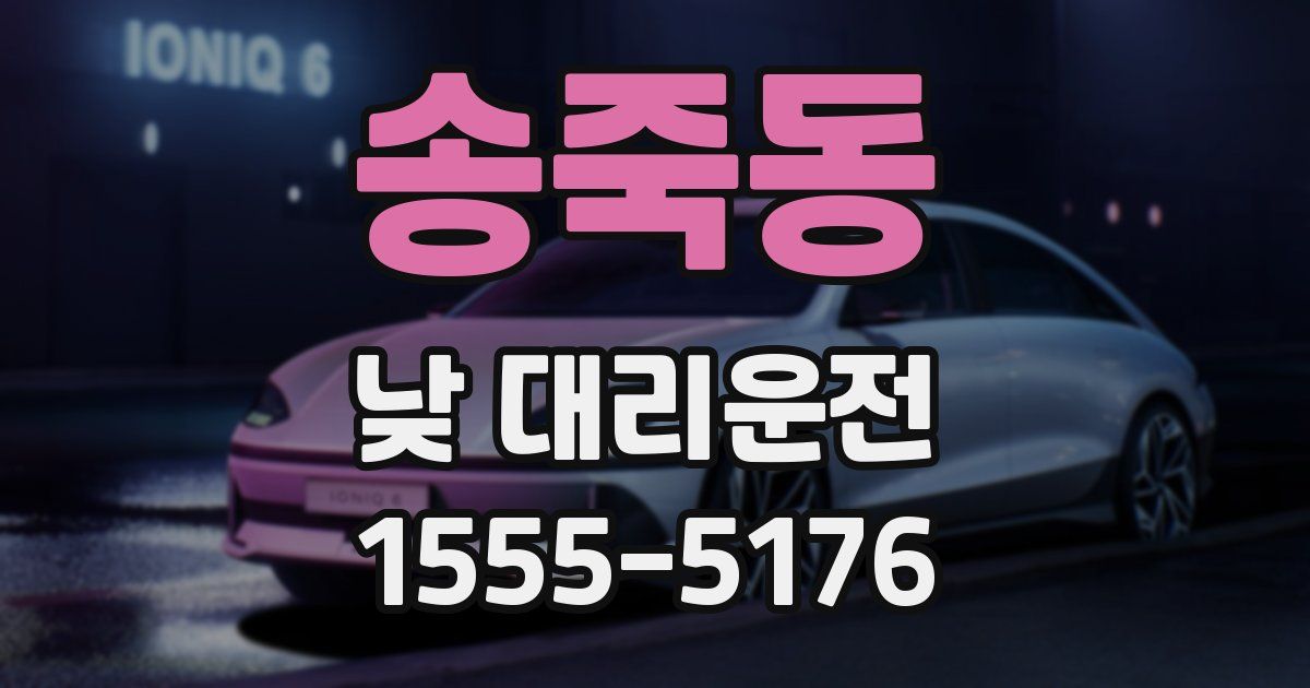 송죽동 낮 대리운전