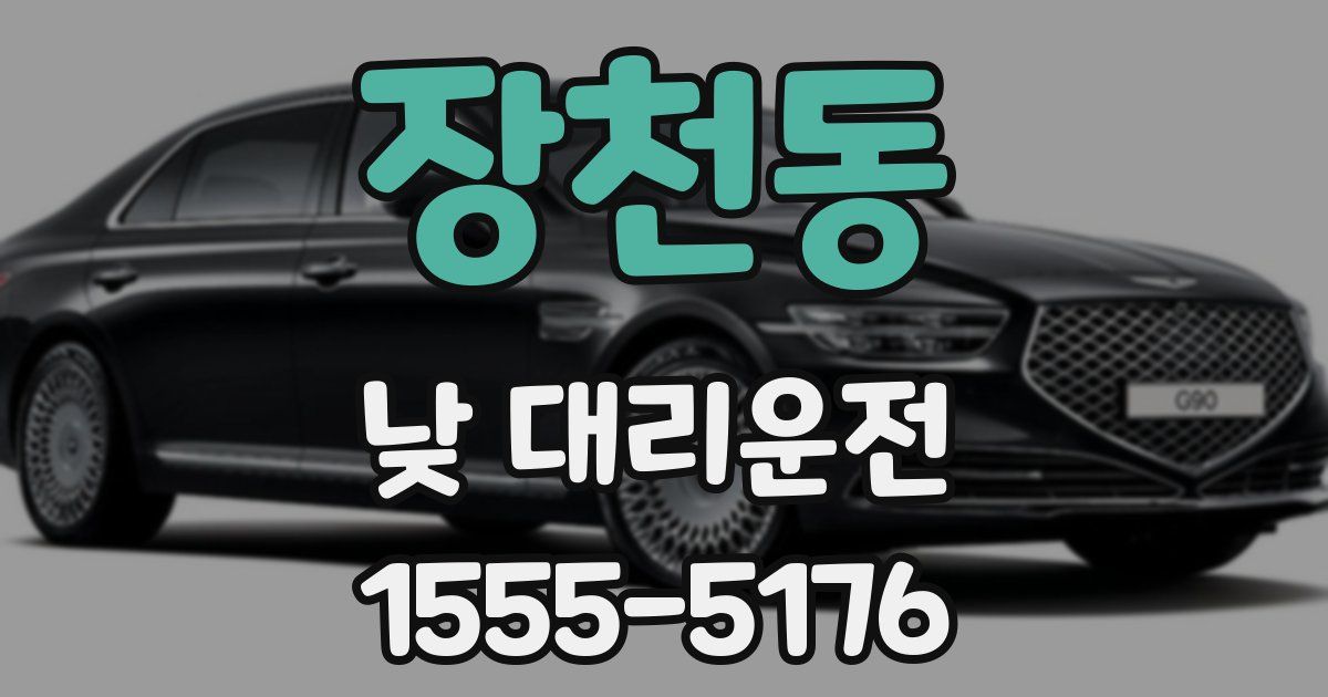 장천동 낮 대리운전