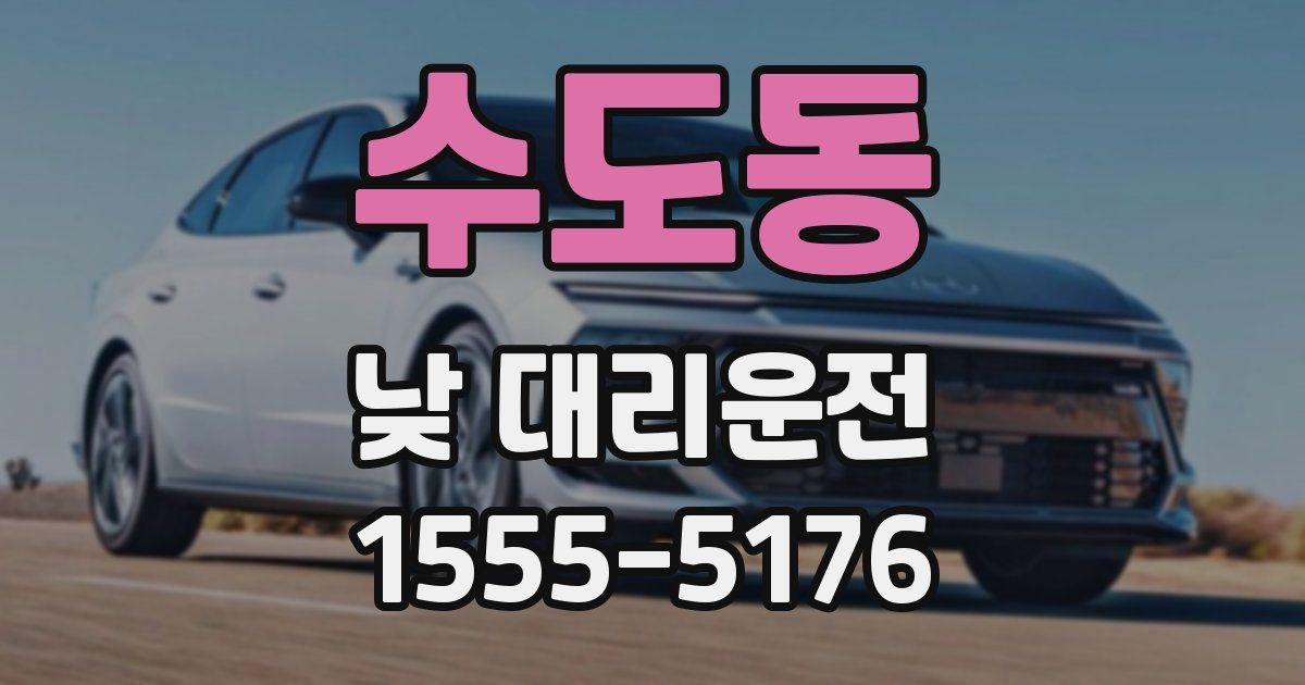 수도동 낮 대리운전