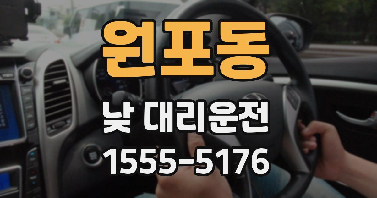 원포동 낮 대리운전